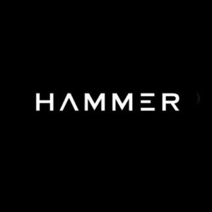 hammer 300x300